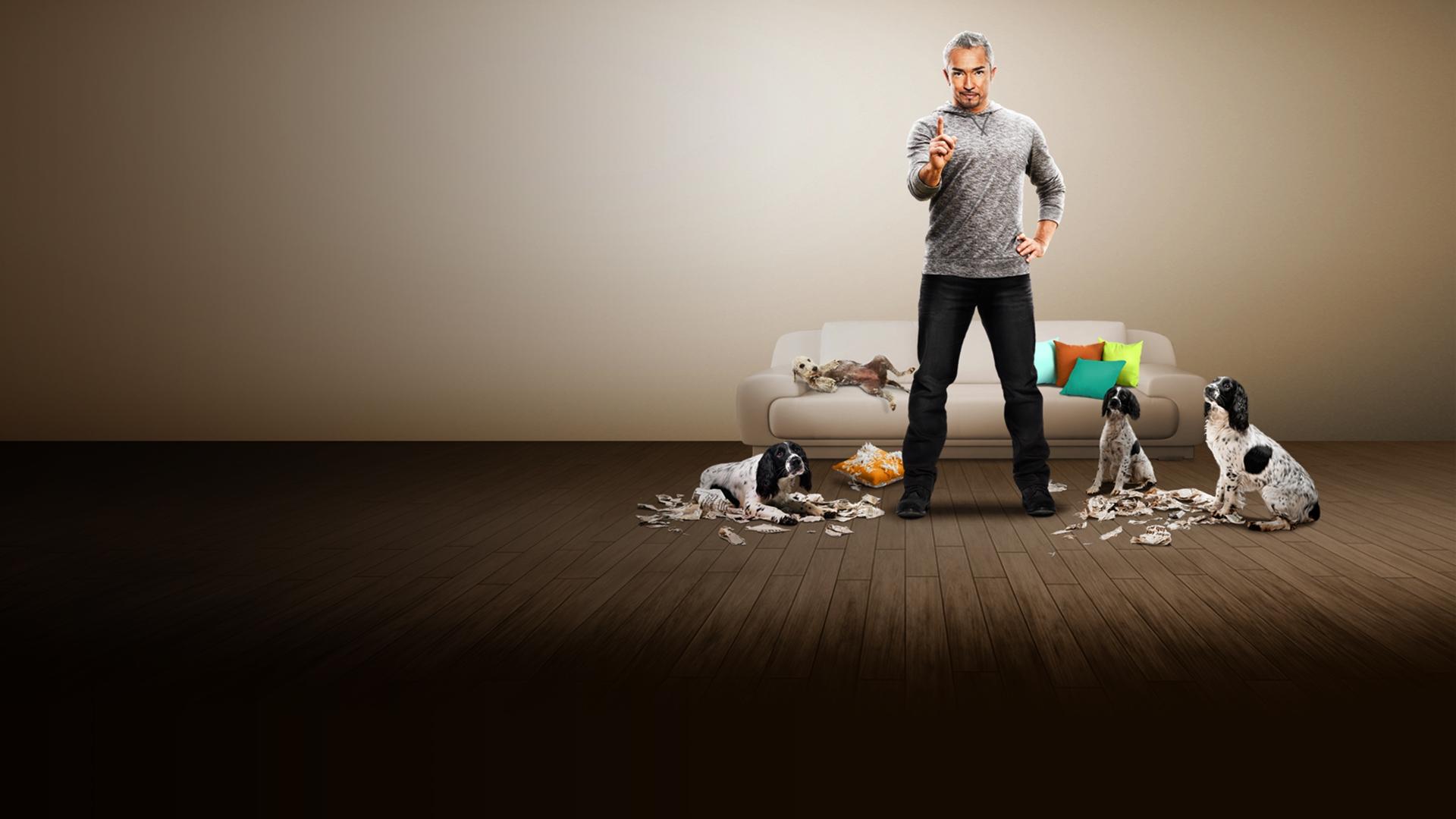 Cena de O Encantador de Cães