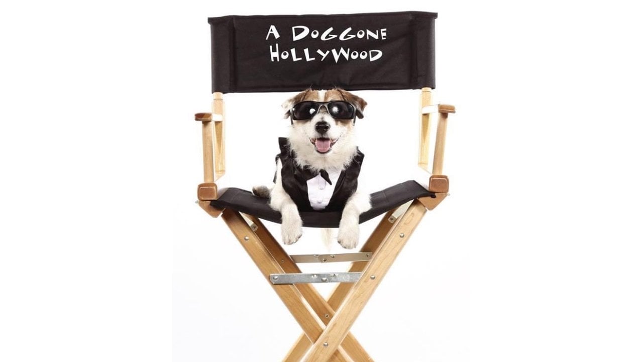 Cena do filme A Doggone Hollywood