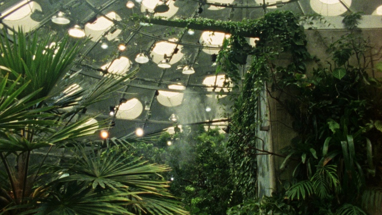 Cena do filme Fractais Tropicais