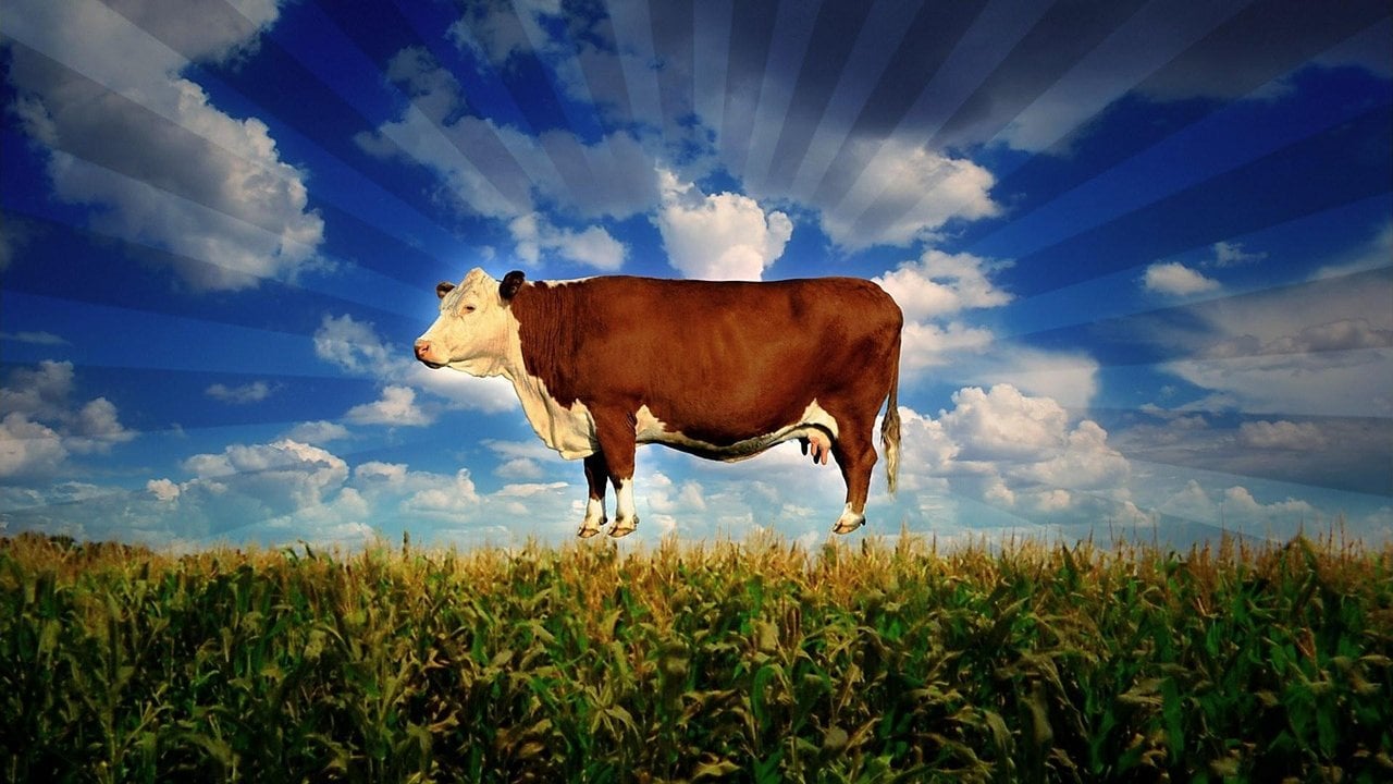 Cena do filme Food, Inc.