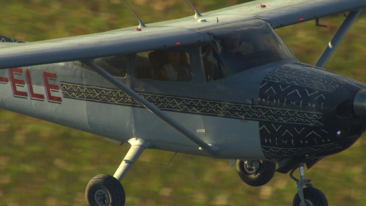 Cena do filme Odisséia dos Grandes Felinos