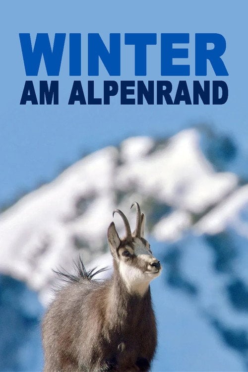 Poster do filme Winter am Alpenrand