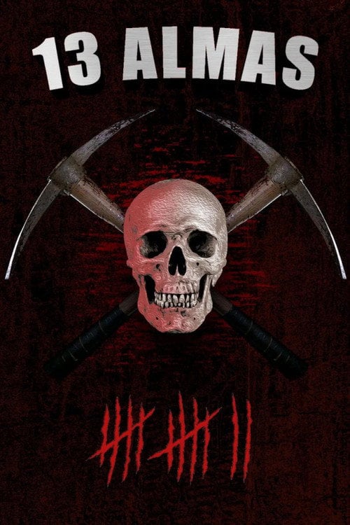 Poster do filme 13 Almas