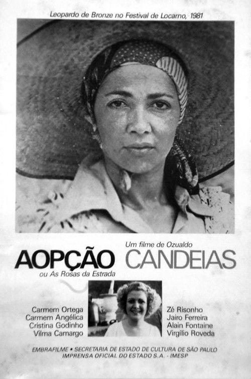 Poster do filme A Opção Ou As Rosas Da Estrada
