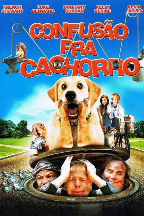 Confusão Pra Cachorro