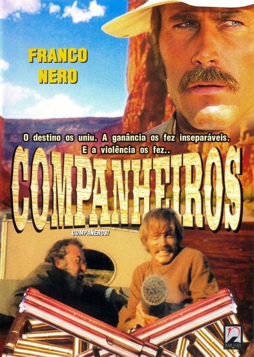 Poster do filme Companheiros