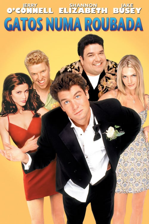 Poster do filme Gatos Numa Roubada