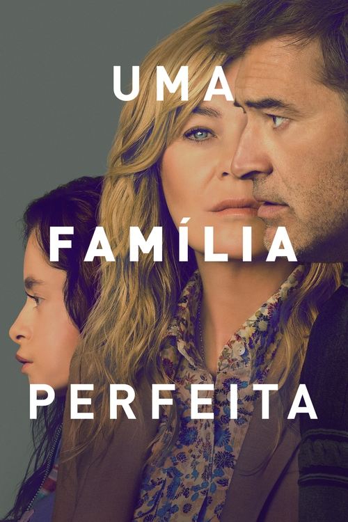 Poster de Uma Família Perfeita