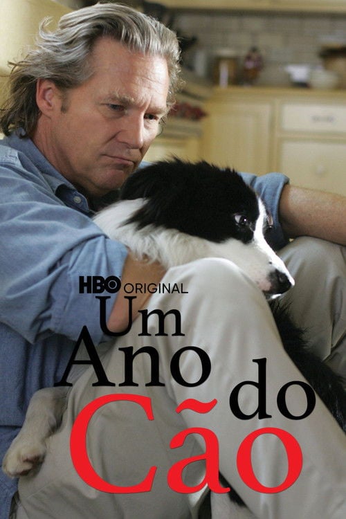 Poster do filme Um Ano do Cão