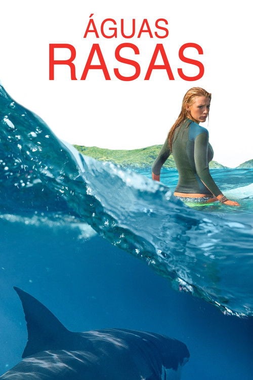 Poster do filme Águas Rasas