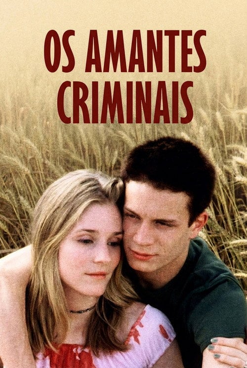 Poster do filme Os Amantes Criminais