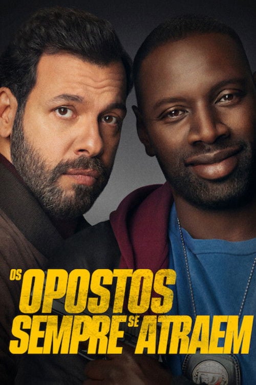 Poster do filme Os Opostos Sempre Se Atraem