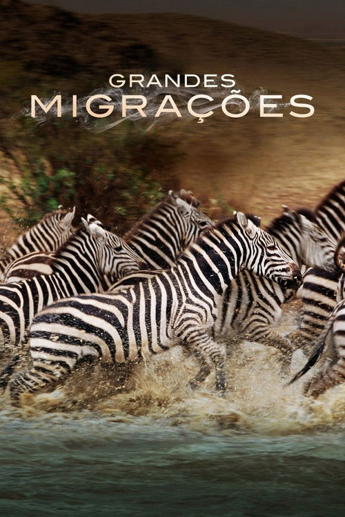 Poster de Grandes Migrações