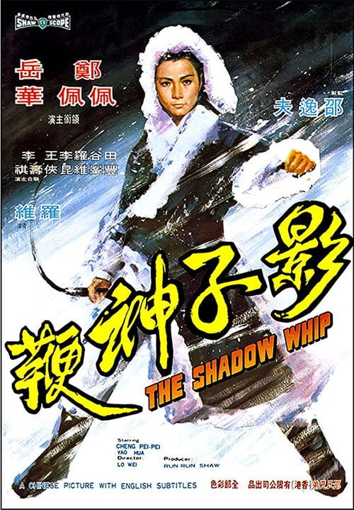 Poster do filme The Shadow Whip