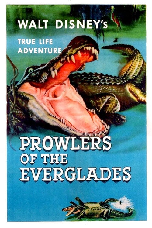 Poster do filme Os Predadores de Everglades