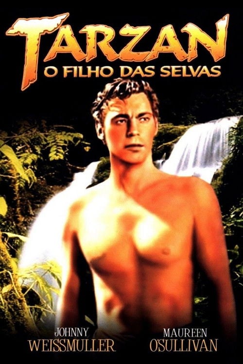 Poster do filme Tarzan - O Filho das Selvas